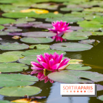 Hellfest 2024 - jeudi 27 juin, nos photos - IMGP3307