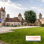 Lumières de Blandy : l'héritage des vicomtes, le spectacle sons et lumières -  A7C7953