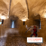 Lumières de Blandy : l'héritage des vicomtes, le spectacle sons et lumières -  A7C7954