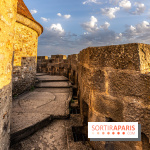 Lumières de Blandy : l'héritage des vicomtes, le spectacle sons et lumières -  A7C7965