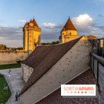 Lumières de Blandy : l'héritage des vicomtes, le spectacle sons et lumières -  A7C7976