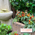 Le Potager, Roch Hotel & Spa - Potager