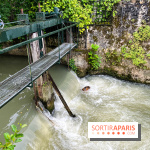 Crécy-la-Chappelle - nos photos - image00060