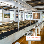 L’Ancienne Poste du Louvre à Versailles -  A7C9710