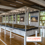 L’Ancienne Poste du Louvre à Versailles -  A7C9715