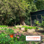 Camping Paris Maisons-Laffite