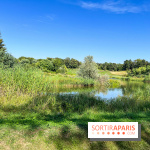 Le parc Georges-Valbon de la Courneuve - nos photos - image00012