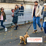 Paris Sausage Walk 2024 : la marche des teckels de retour dans la capitale - image00015