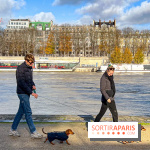 Paris Sausage Walk 2024 : la marche des teckels de retour dans la capitale - image00021