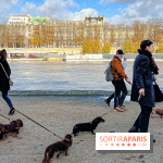 Paris Sausage Walk 2024 : la marche des teckels de retour dans la capitale