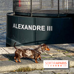 Paris Sausage Walk 2024 : la marche des teckels de retour dans la capitale - image00032