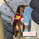 Paris Sausage Walk 2024 : la marche des teckels de retour dans la capitale - image00033