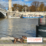 Paris Sausage Walk 2024 : la marche des teckels de retour dans la capitale - image00001