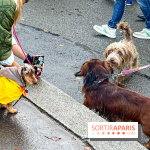 Paris Sausage Walk 2024 : la marche des teckels de retour dans la capitale - image00002