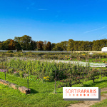 Les Saveurs du Potager du Roi à Versailles : marché de fruits & légumes, expositions et animations