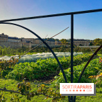 Les Saveurs du Potager du Roi à Versailles : marché de fruits & légumes, expositions et animations - image00012