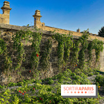 Les Saveurs du Potager du Roi à Versailles : marché de fruits & légumes, expositions et animations - image00016