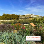 Les Saveurs du Potager du Roi à Versailles : marché de fruits & légumes, expositions et animations - image00034