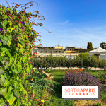 Les Saveurs du Potager du Roi à Versailles : marché de fruits & légumes, expositions et animations
