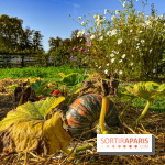 Les Saveurs du Potager du Roi à Versailles : marché de fruits & légumes, expositions et animations