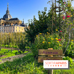 Les Saveurs du Potager du Roi à Versailles : marché de fruits & légumes, expositions et animations