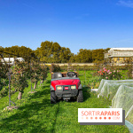 Les Saveurs du Potager du Roi à Versailles : marché de fruits & légumes, expositions et animations