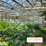Les Saveurs du Potager du Roi à Versailles : marché de fruits & légumes, expositions et animations