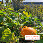 Les Saveurs du Potager du Roi à Versailles : marché de fruits & légumes, expositions et animations