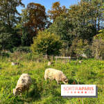 Les Saveurs du Potager du Roi à Versailles : marché de fruits & légumes, expositions et animations - image00079