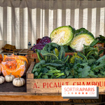 Les Saveurs du Potager du Roi à Versailles : marché de fruits & légumes, expositions et animations