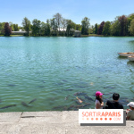 Etang aux carpes et barques - nos photos