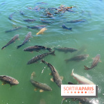 Etang aux carpes et barques - nos photos