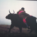 Esprit Nomade vu par l'XPeria X10 de Sony Ericsson