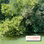 Marin d'eau douce Boulogne - nos photos
