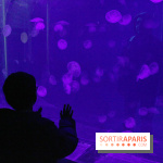 L'Arche des petites bêtes au Zoo de Thoiry