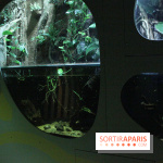 L'Arche des petites bêtes au Zoo de Thoiry