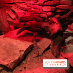 L'Arche des petites bêtes au Zoo de Thoiry