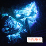 L'Arche des petites bêtes au Zoo de Thoiry