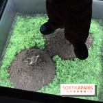 L'Arche des petites bêtes au Zoo de Thoiry