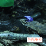 L'Arche des petites bêtes au Zoo de Thoiry