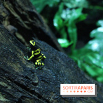 L'Arche des petites bêtes au Zoo de Thoiry