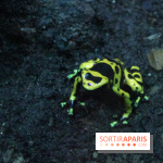 L'Arche des petites bêtes au Zoo de Thoiry