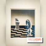 Le surréalisme : l'exposition exceptionnelle qui célèbre les 100 ans du mouvement au Centre Pompidou - IMG20240903162813