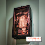 Le surréalisme : l'exposition exceptionnelle qui célèbre les 100 ans du mouvement au Centre Pompidou - IMG20240903164212