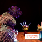 “Forêts astrales” : nos photos de l'exposition gratuite à voir à l'Institut suédois à Paris - IMG 5920