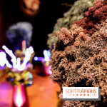 “Forêts astrales” : nos photos de l'exposition gratuite à voir à l'Institut suédois à Paris - IMG 5971