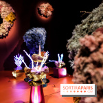 “Forêts astrales” : nos photos de l'exposition gratuite à voir à l'Institut suédois à Paris - IMG 5972