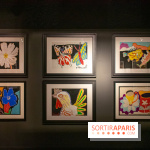 Exposition Malcolm de Chazal à la Halle Saint-Pierre - DSC 0994