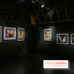 Exposition Malcolm de Chazal à la Halle Saint-Pierre - DSC 0997