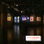 Exposition Malcolm de Chazal à la Halle Saint-Pierre - DSC 1017